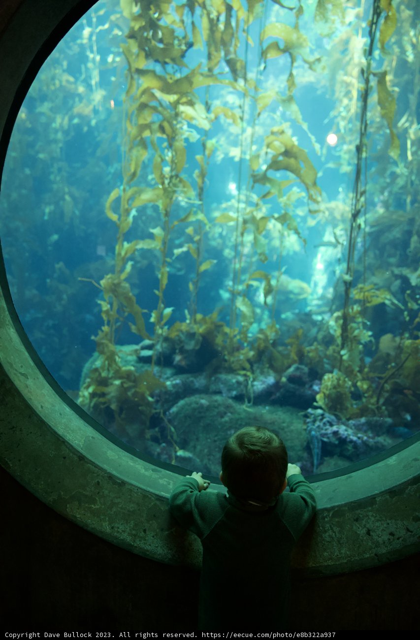 Magical Underwater Exploration