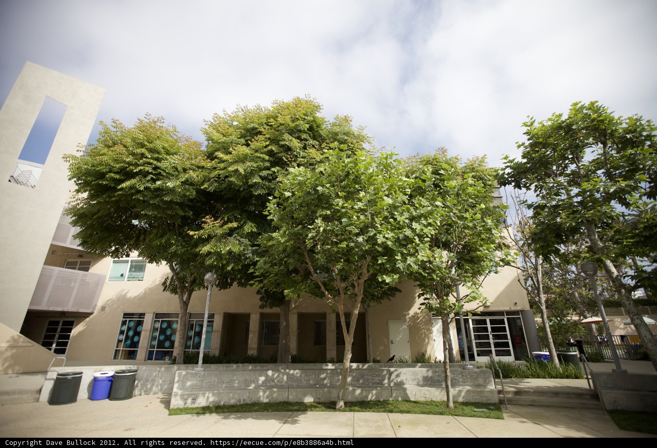 Urban Oasis