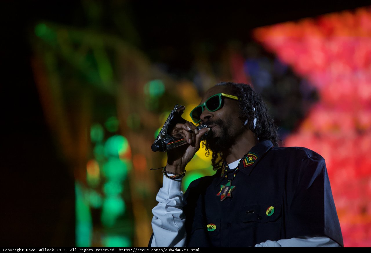 Snoop Dogg Rocking the Grammy Stage