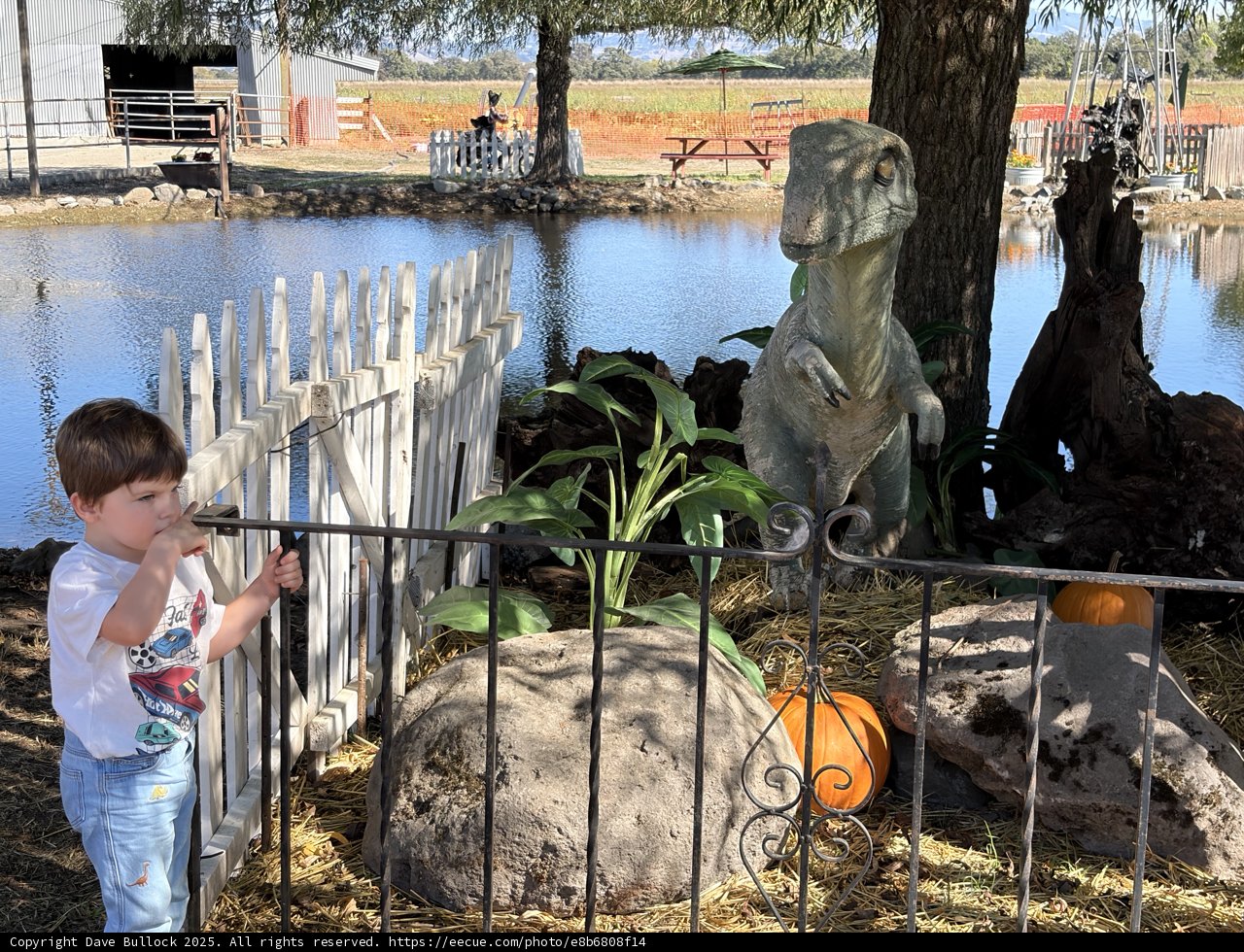 Encounter with a Prehistoric Friend