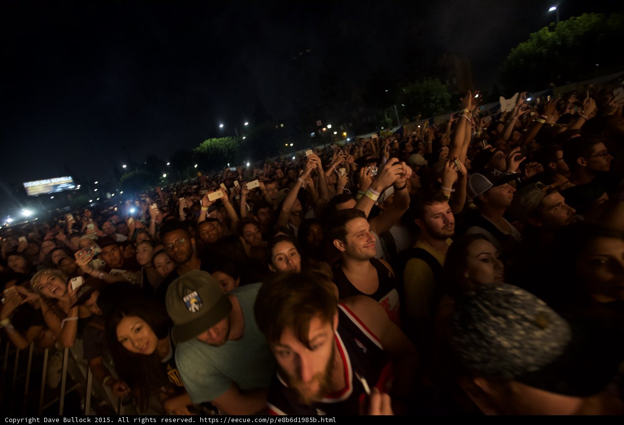 Smiling Fan in Crowd
