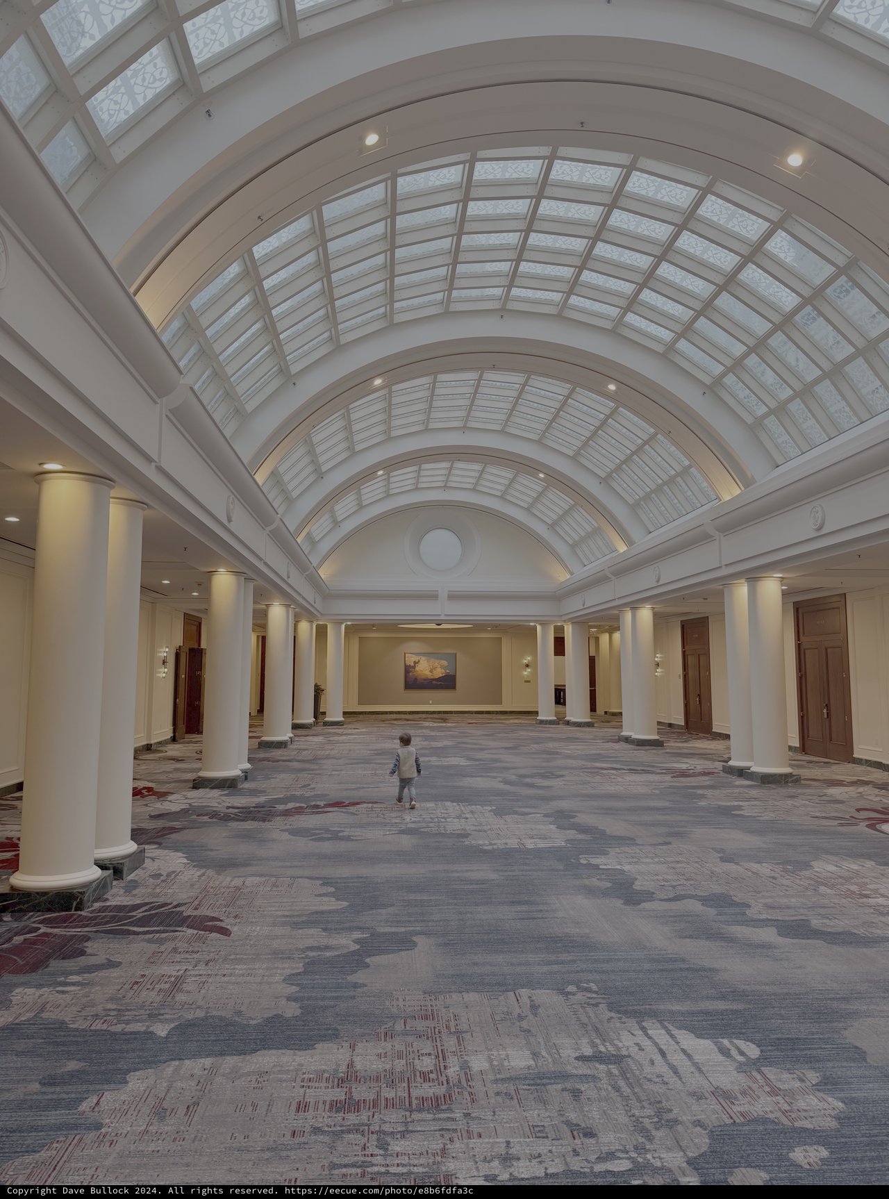 Grand Barrel-Vaulted Atrium with Classical Architecture