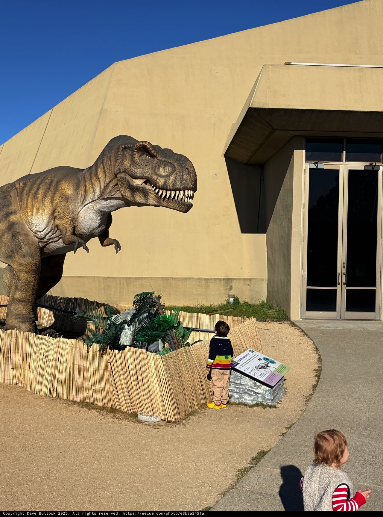 Child Encounters Life-Size T-Rex Display at Museum