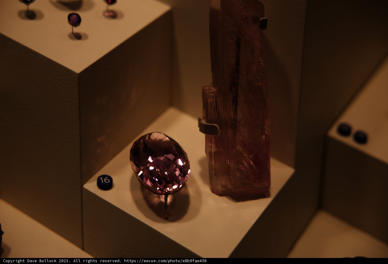 Dazzling Pink Gems at California Academy of Sciences
