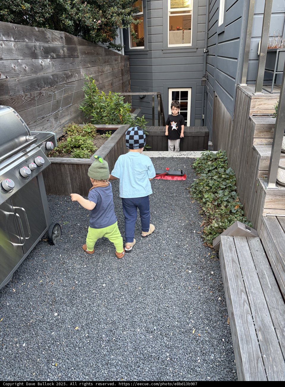 Urban Backyard Adventure