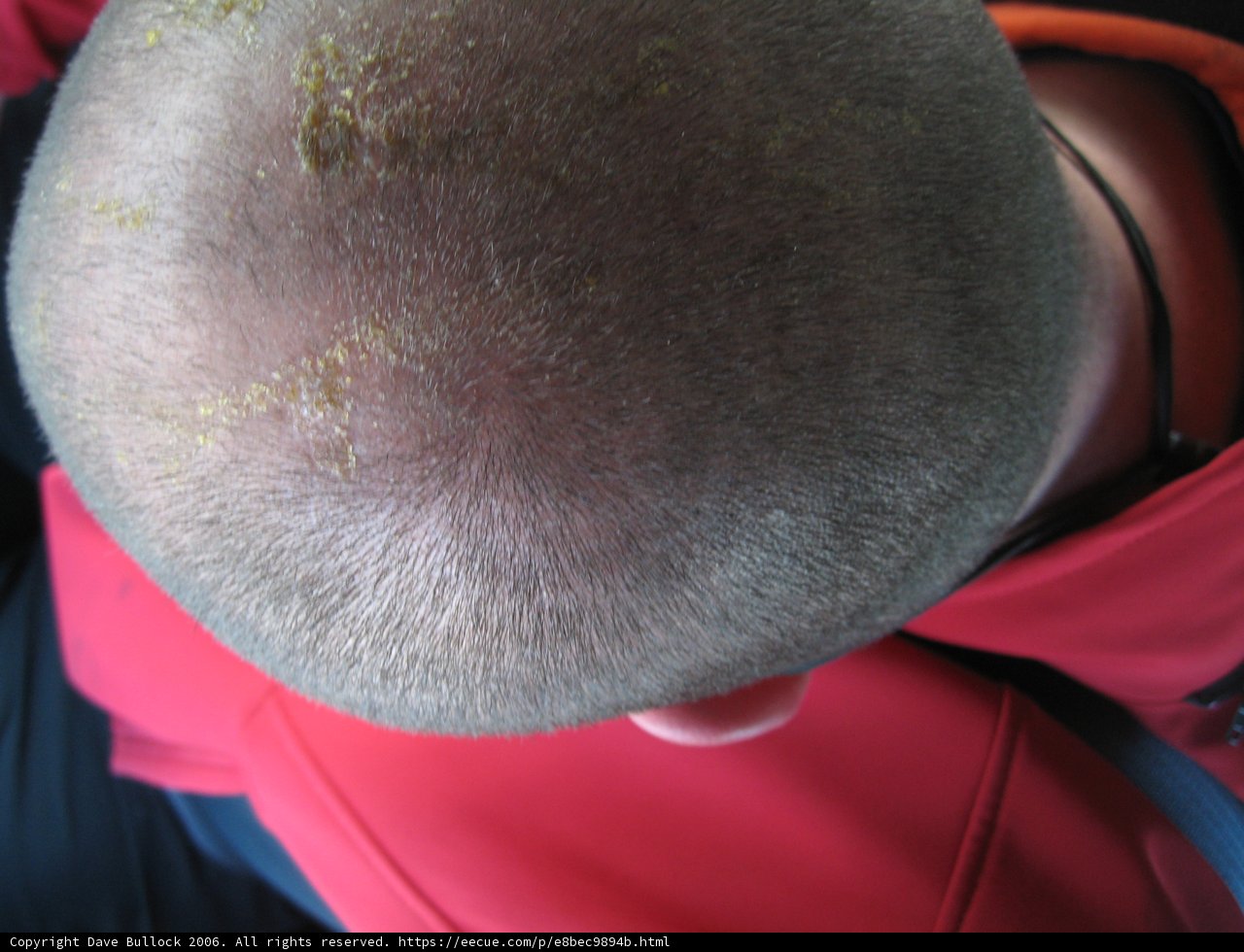Bald Man in Red Shirt