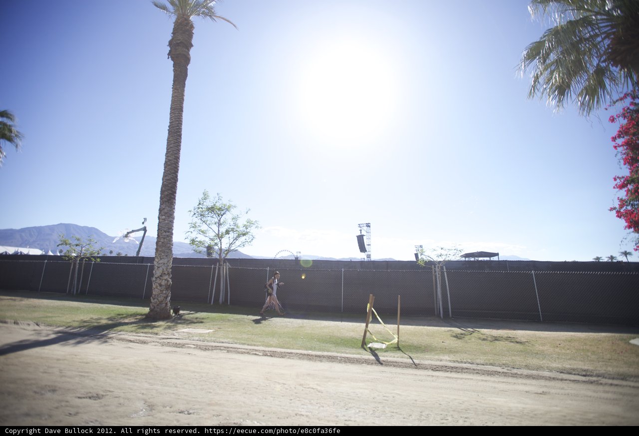 Soaring in the Sun