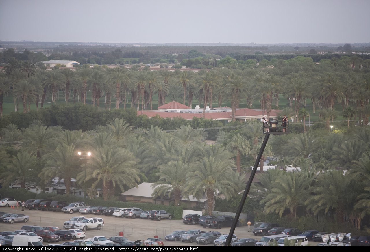 View of Palm Trees and a Massive Building