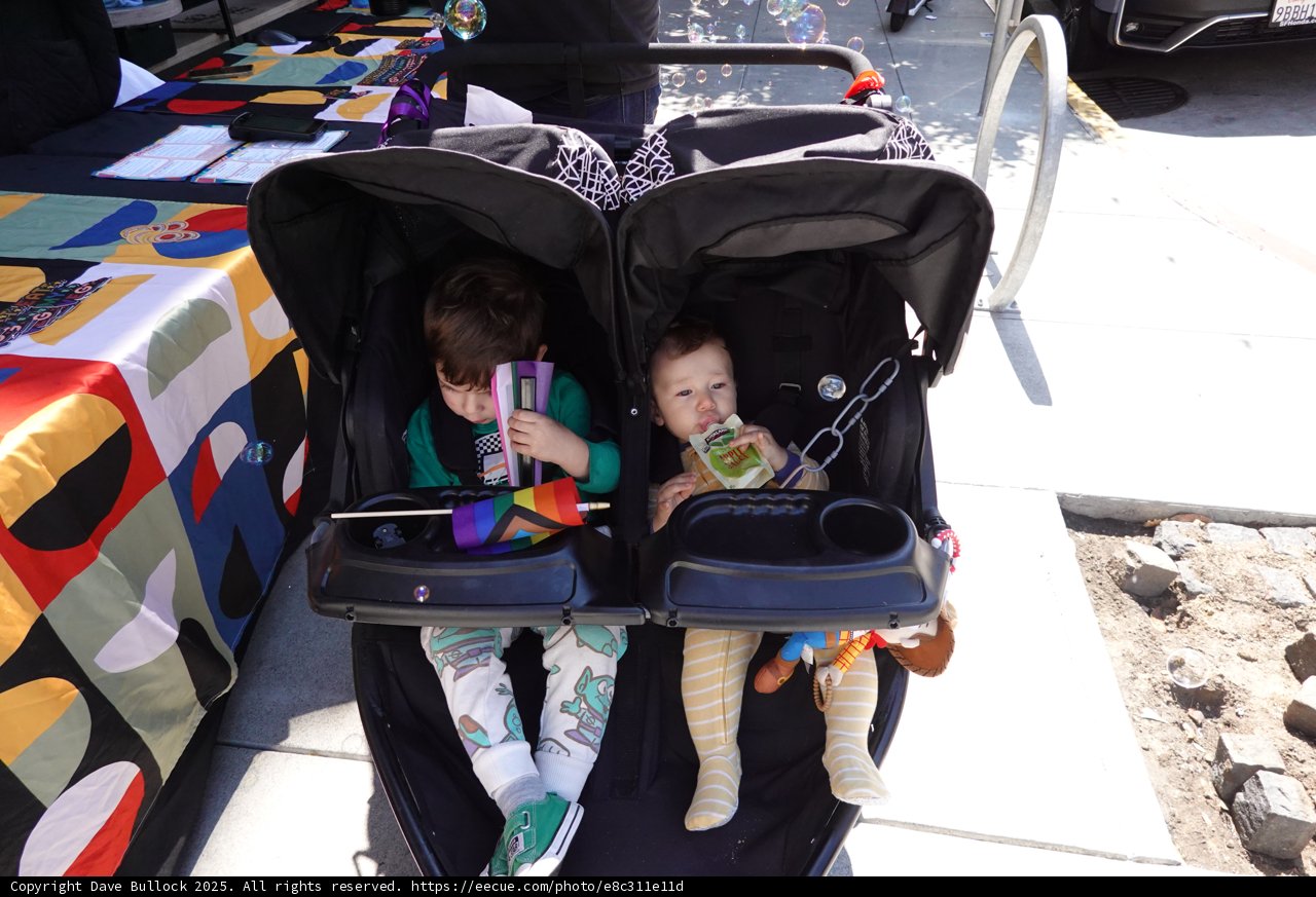 Afternoon Adventures in Twin Strollers