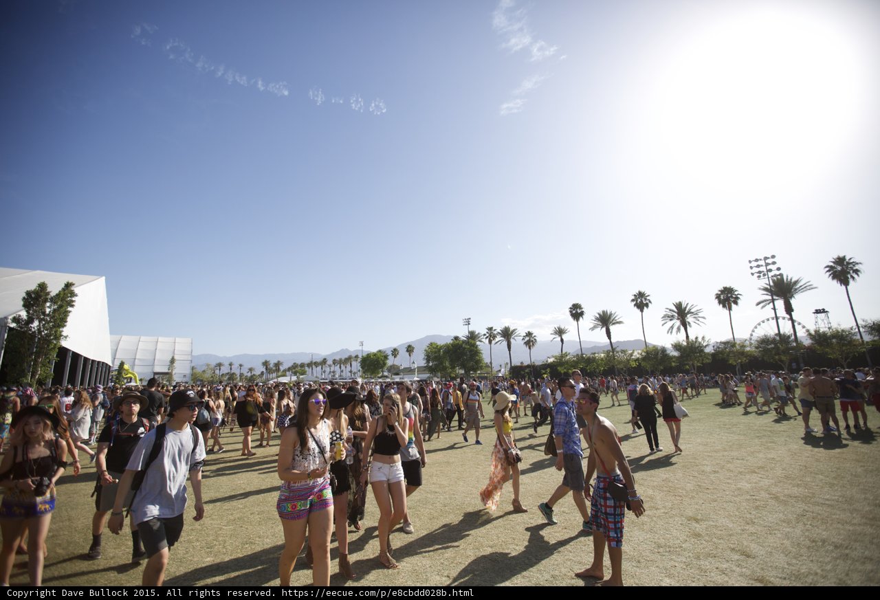 Sunny Festival Day