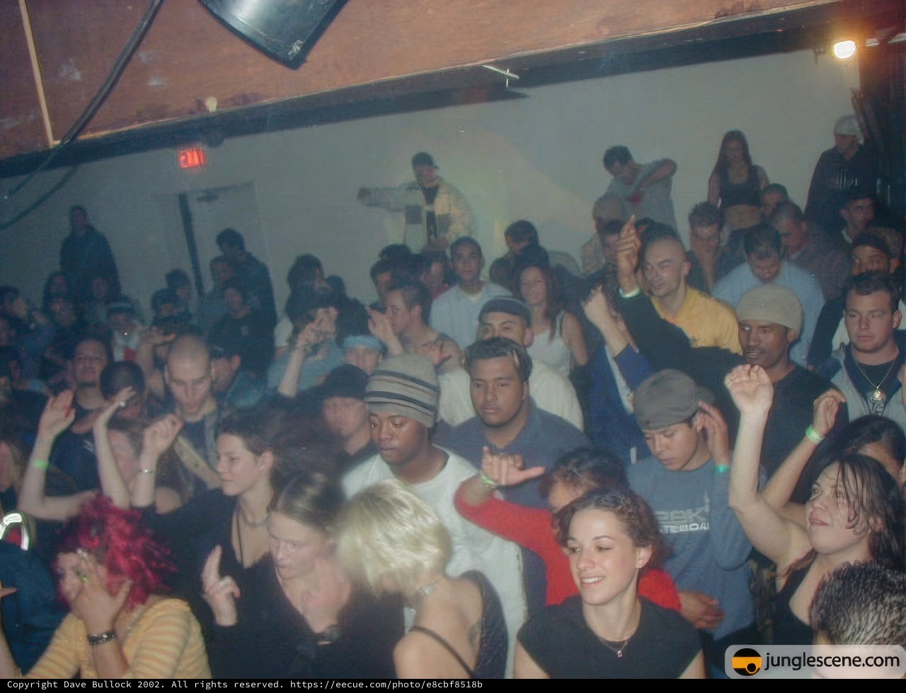 The Flying Partygoer
