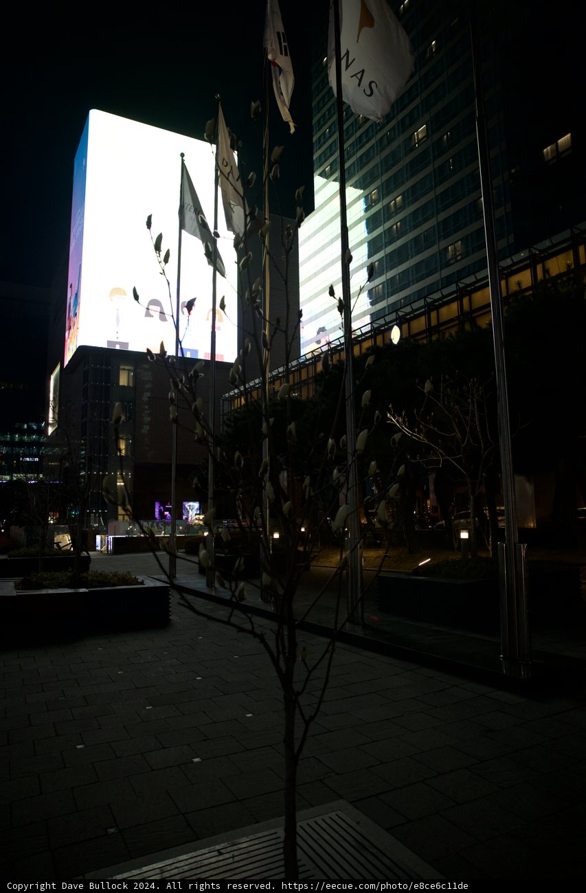 The Illuminated Colossus: A Night in Metropolis