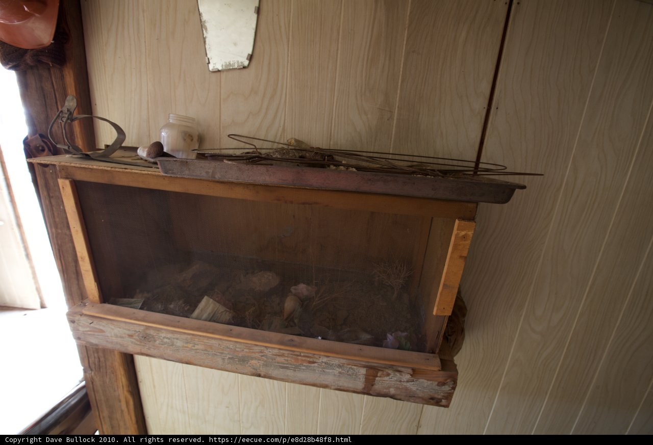 Serene Aquarium in a Wooden Cabinet