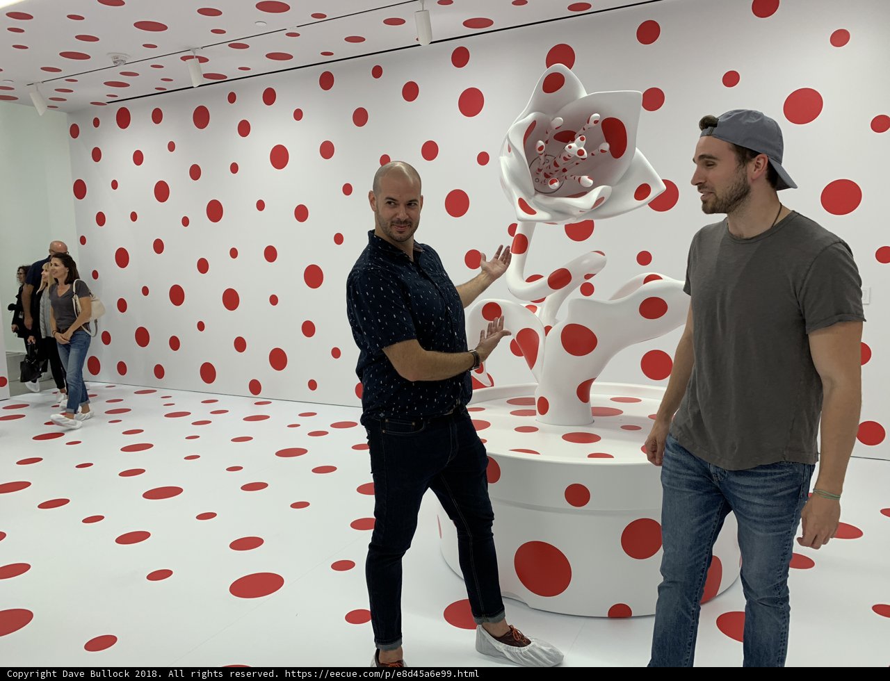 Polka Dot Posse
