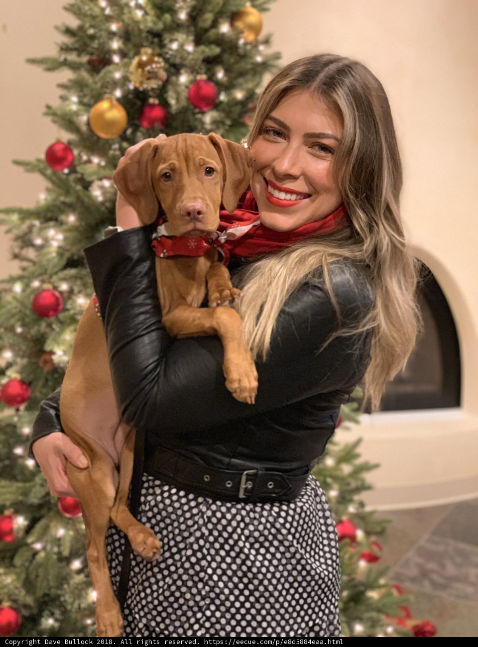 Christmas Cuddles