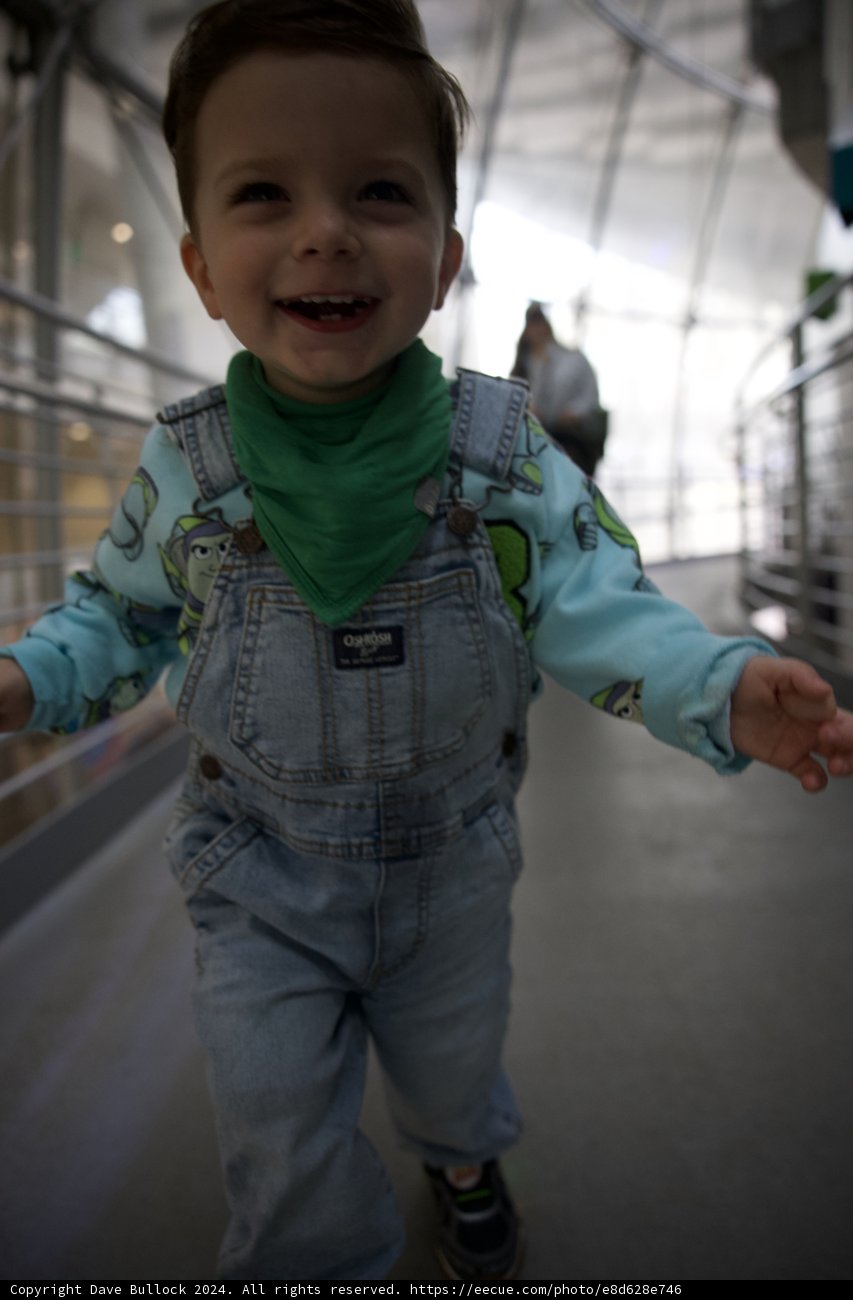 Joyful Exploration in the Rainforest