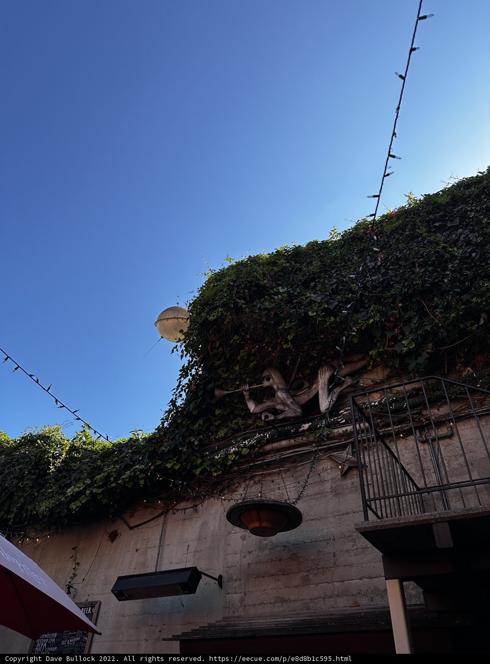 Ivy-Covered Building in Berkeley