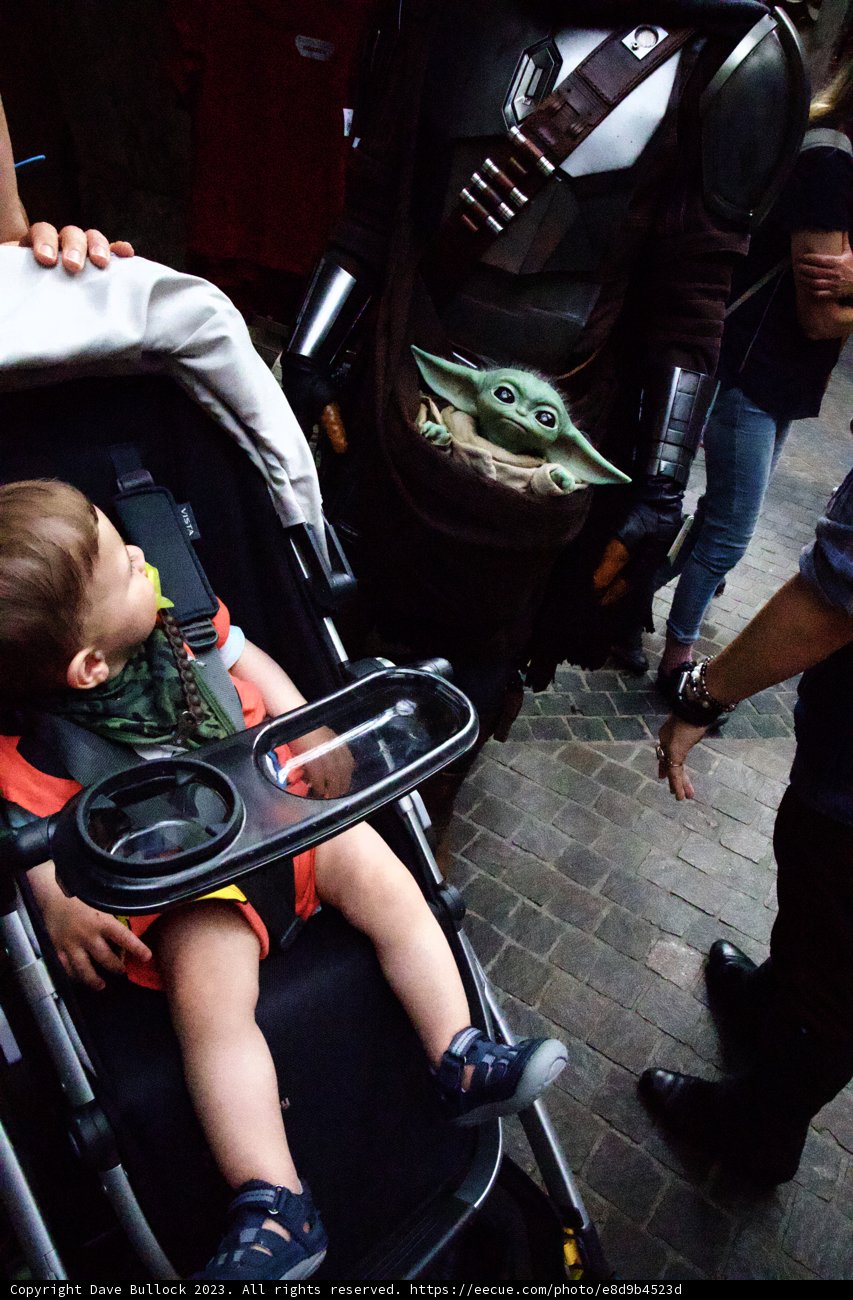 Family Fun at Disneyland