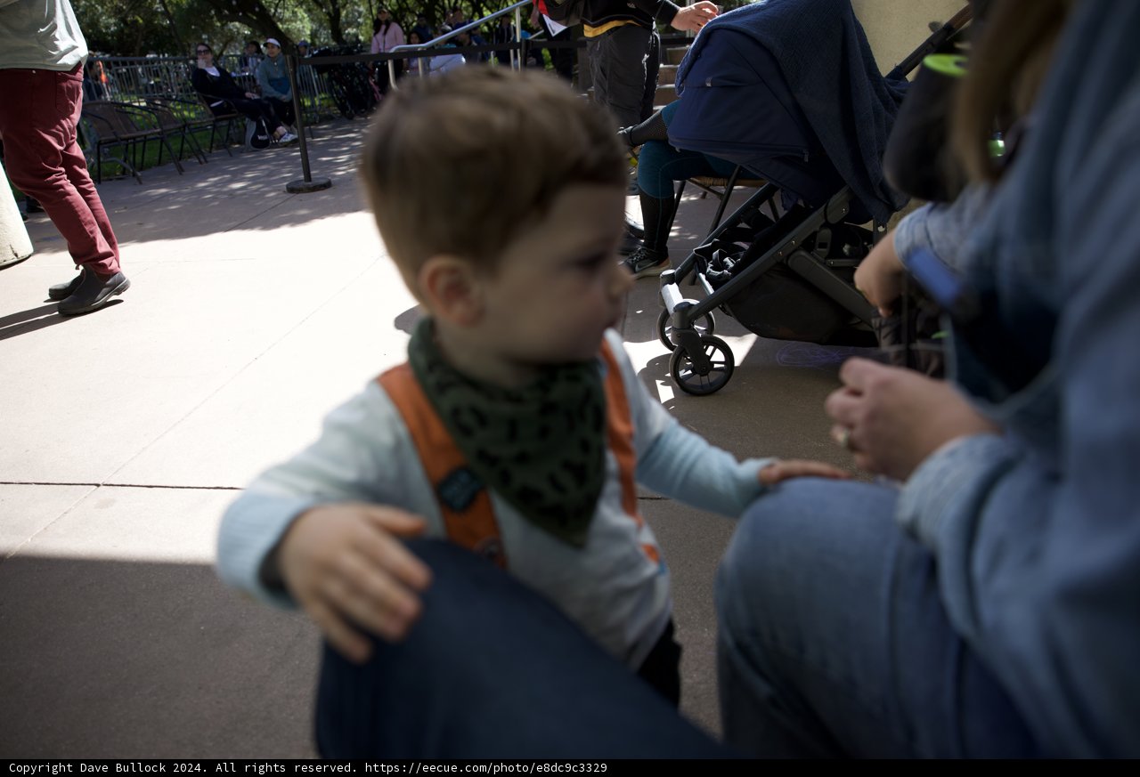 The Bandana Boy of Golden Gate Park