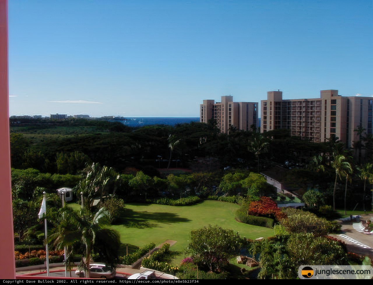 Ocean View at the Resort