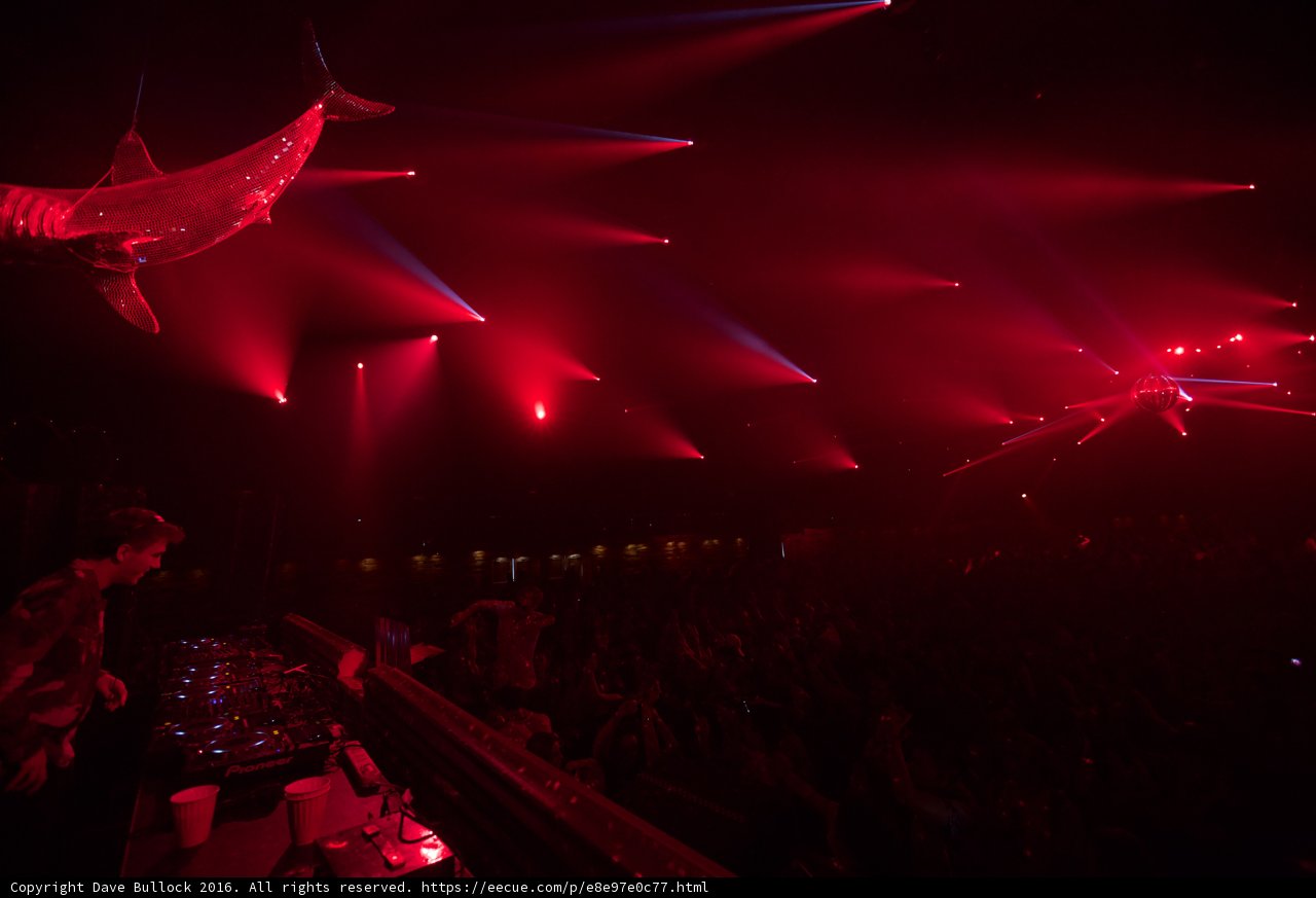 Shark Rockin' the Stage
