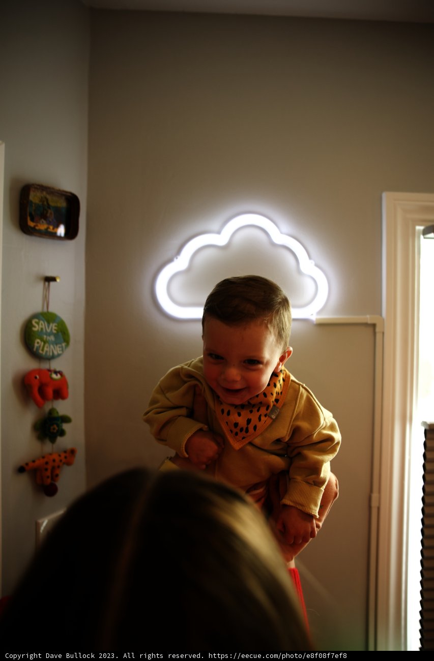 Cherished Moments with Little Wesley