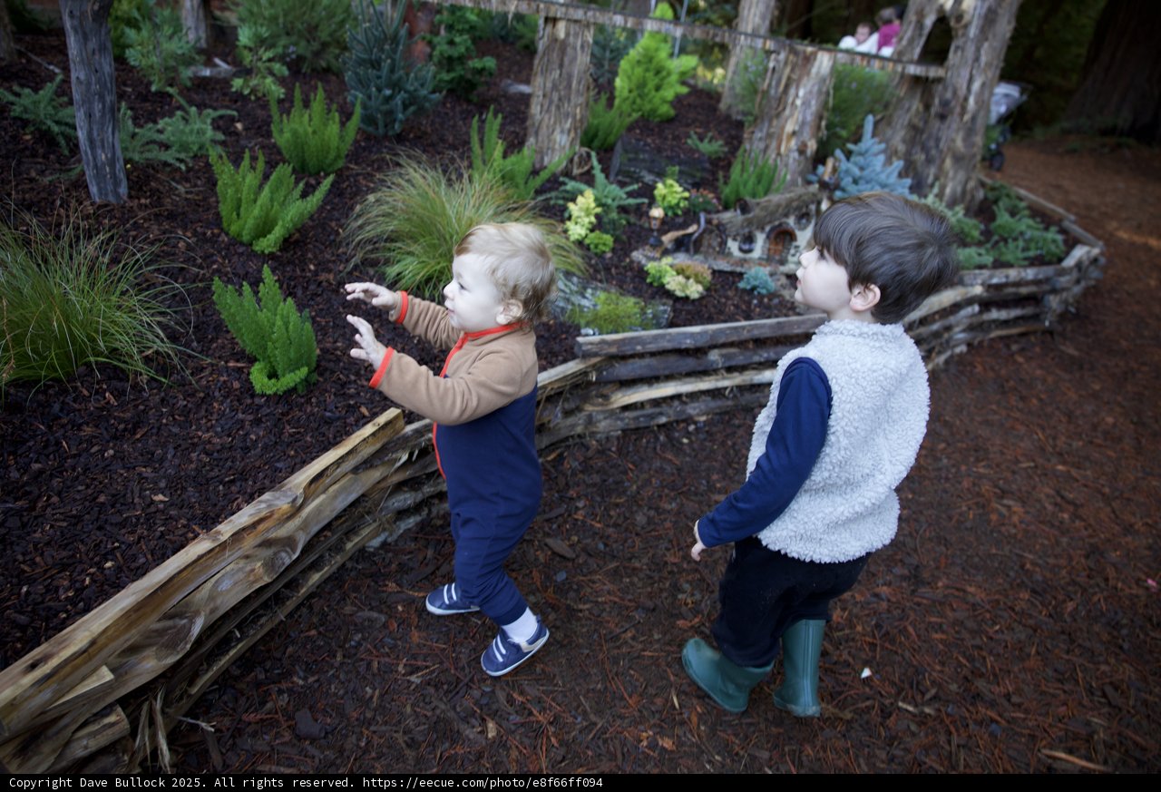 Curious Explorers in the Garden