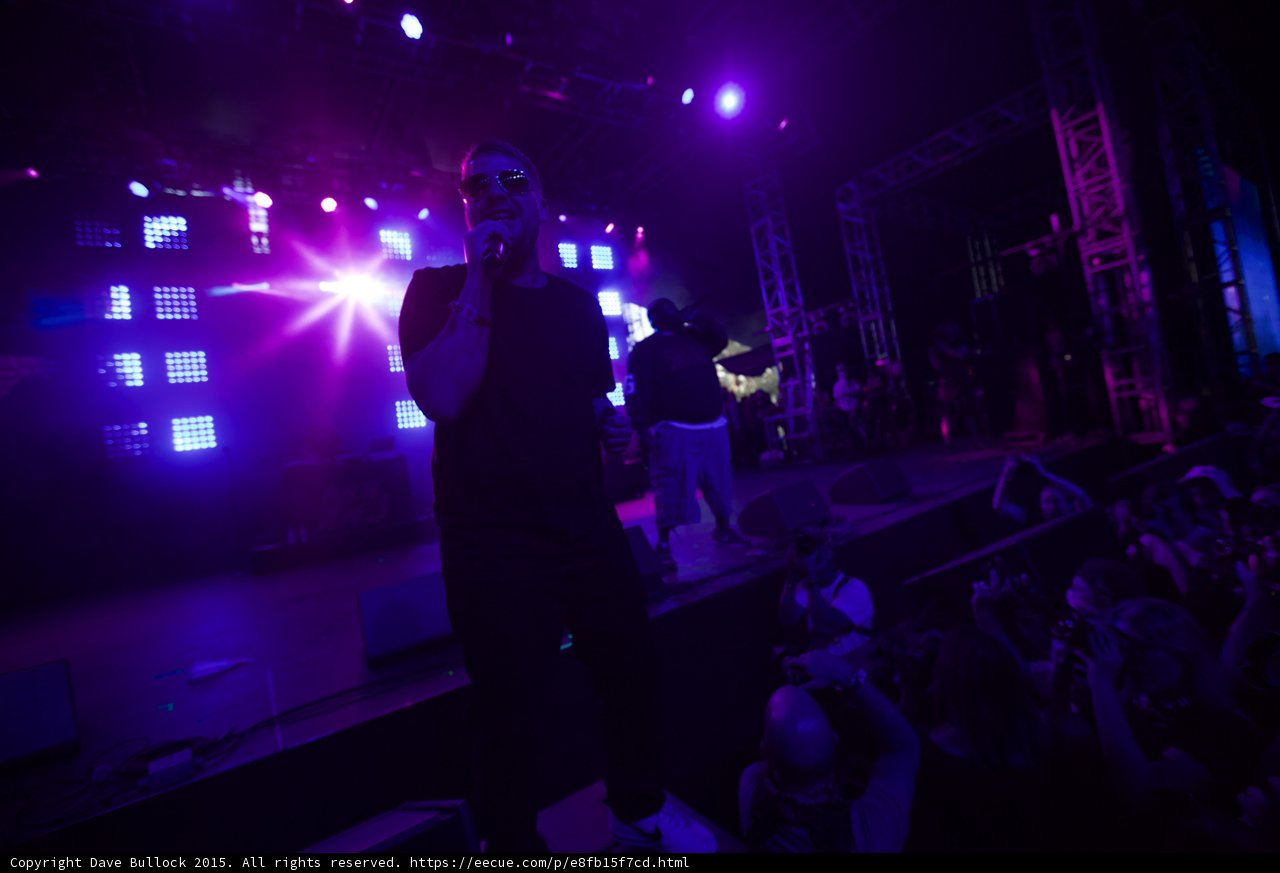 El-P Starburst Silhouette