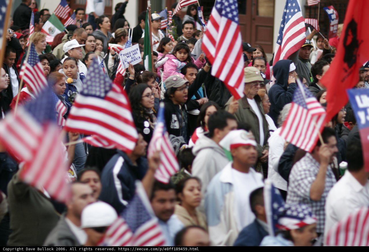 Patriotic Crowd
