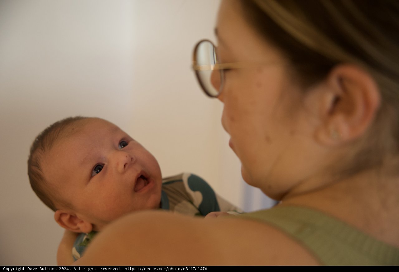 First Gazes