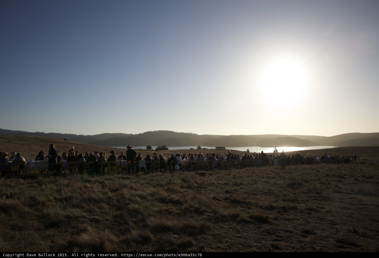 In Unison with Nature: The Hog Island Gathering