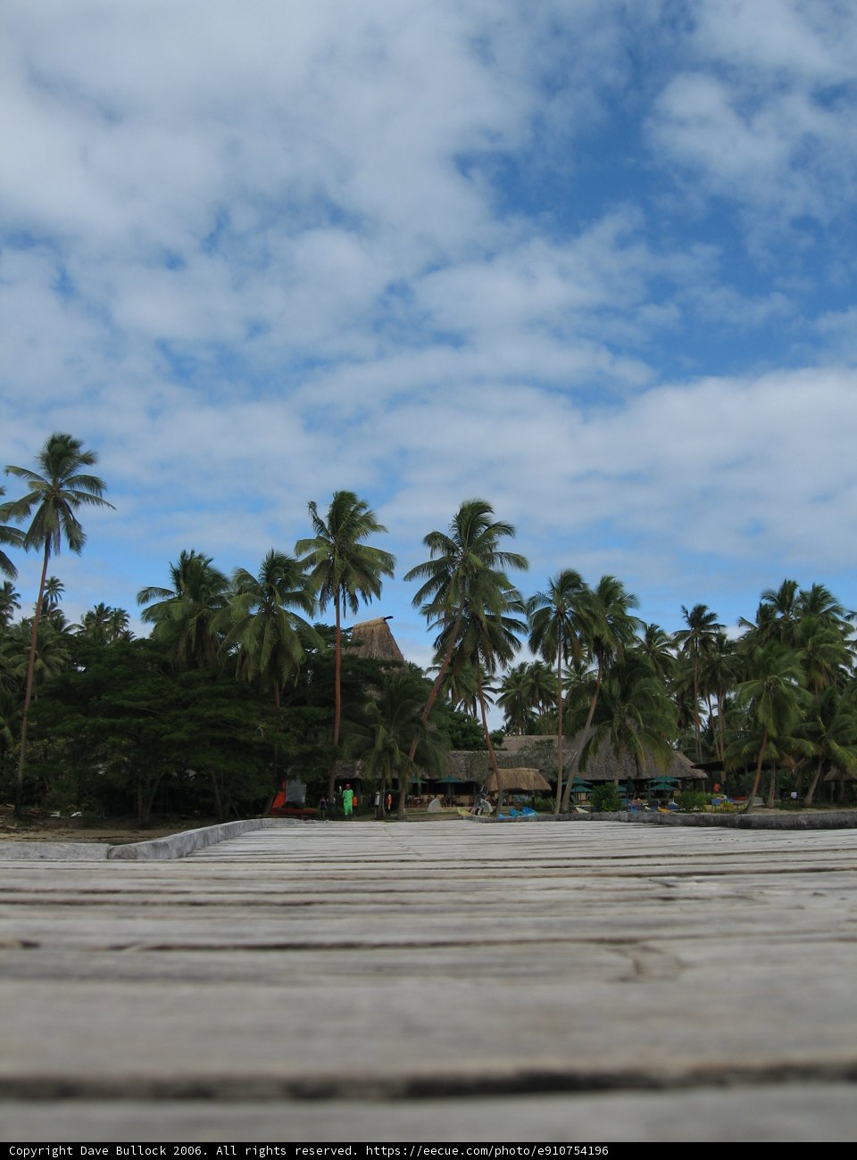 Tropical Paradise Boardwalk