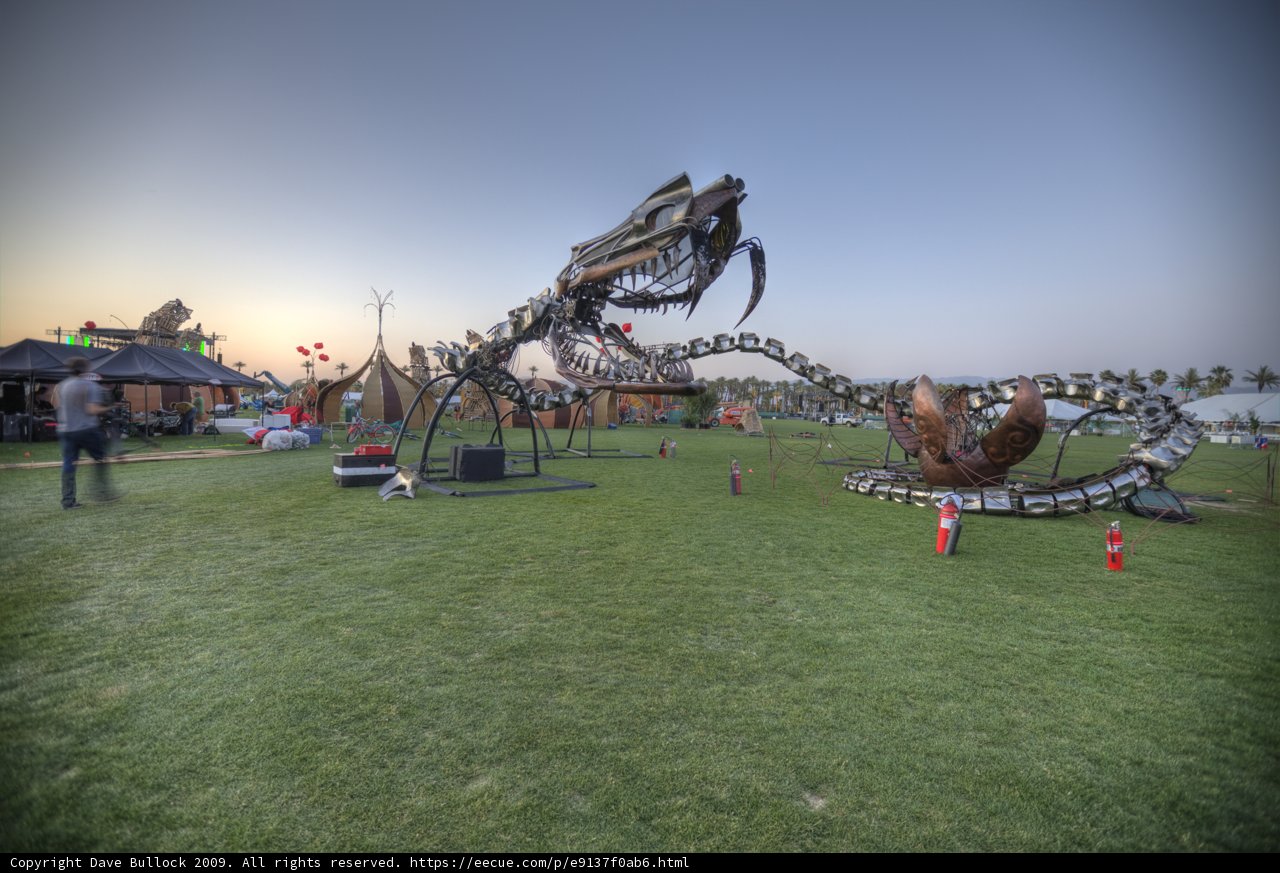 Dragon on the Field