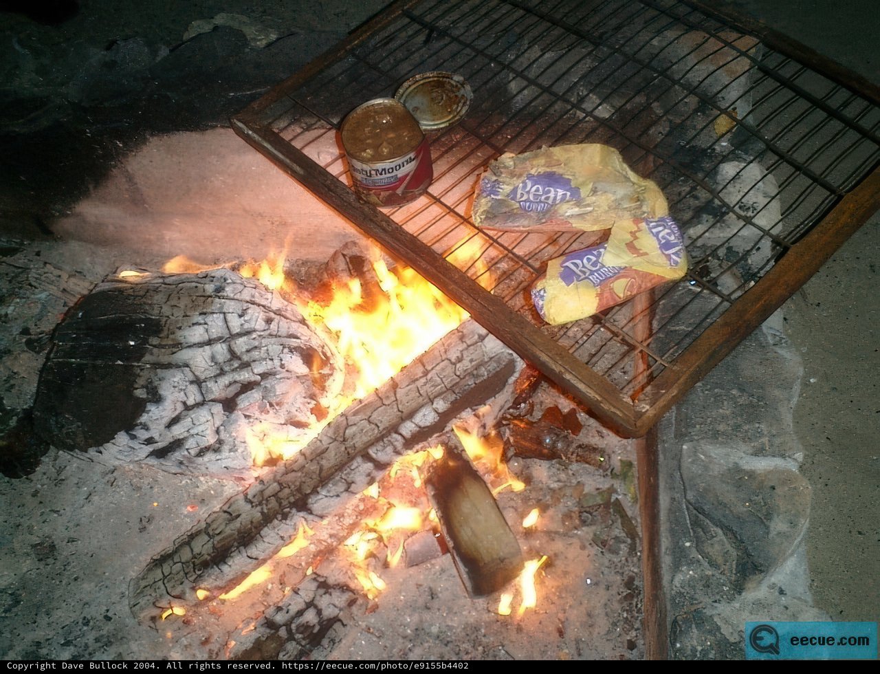 Grilling up a Feast with Wine