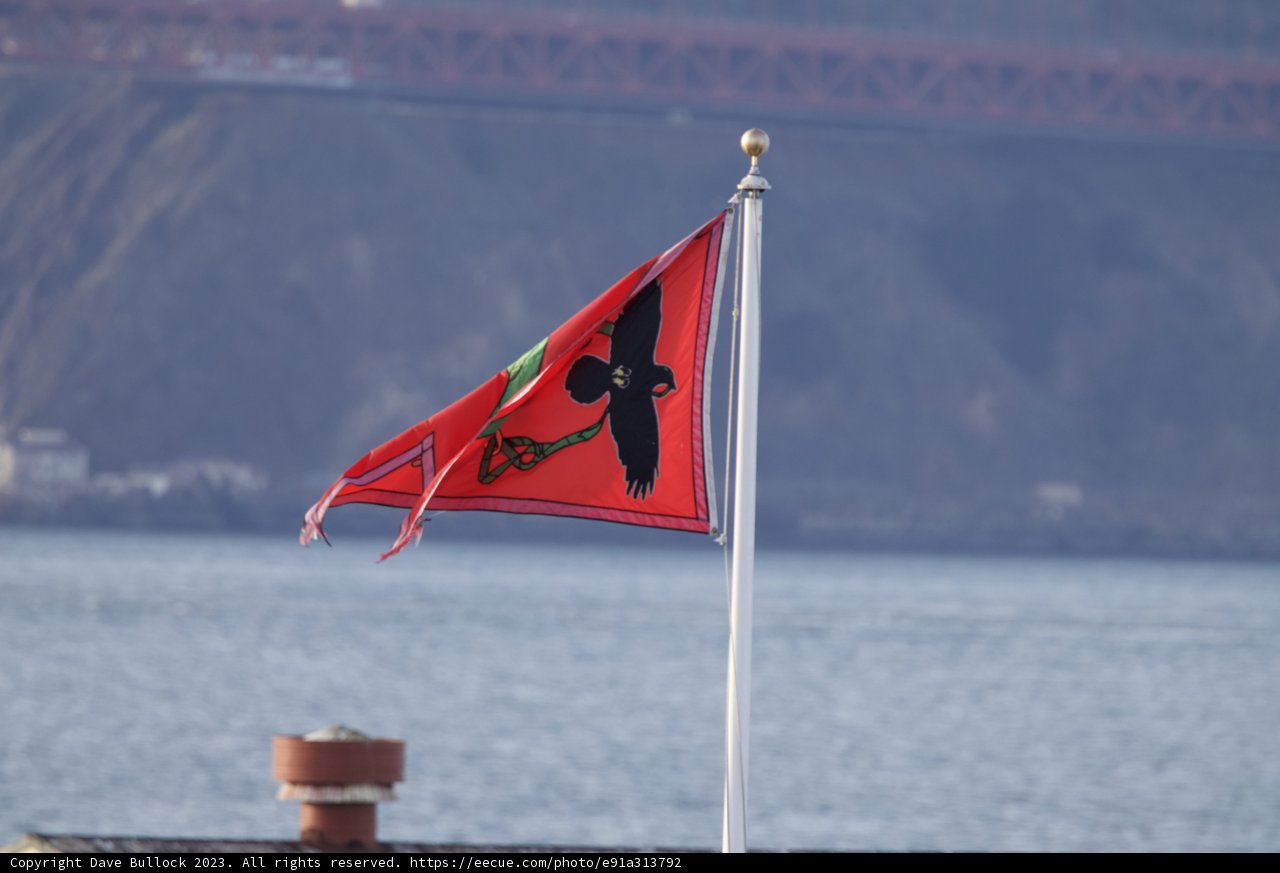 Eagle Over the Golden Gate