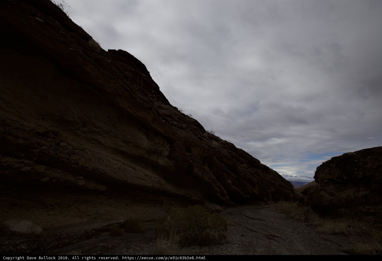 Overlooking the Canyon