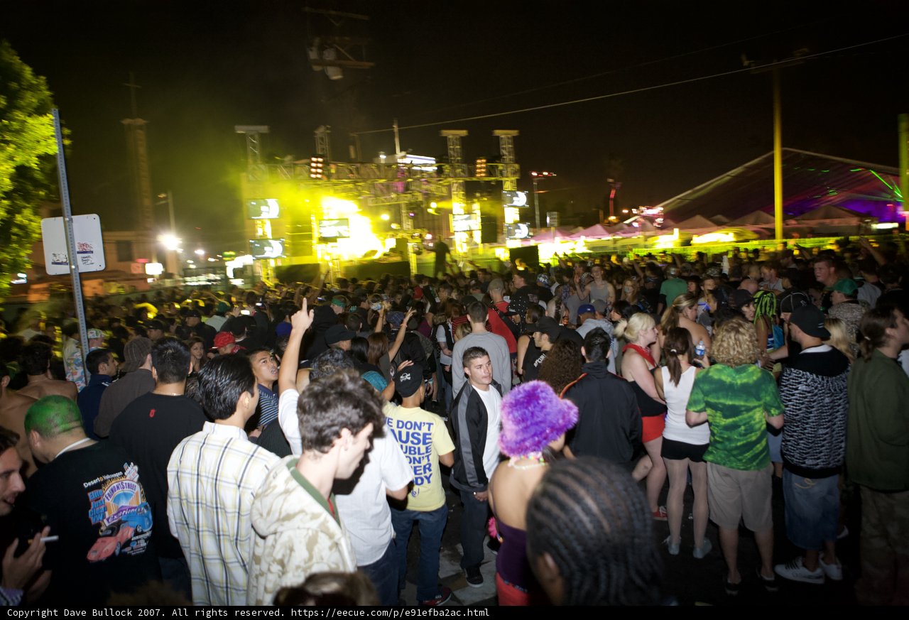 Nocturnal Crowd at Music Festival