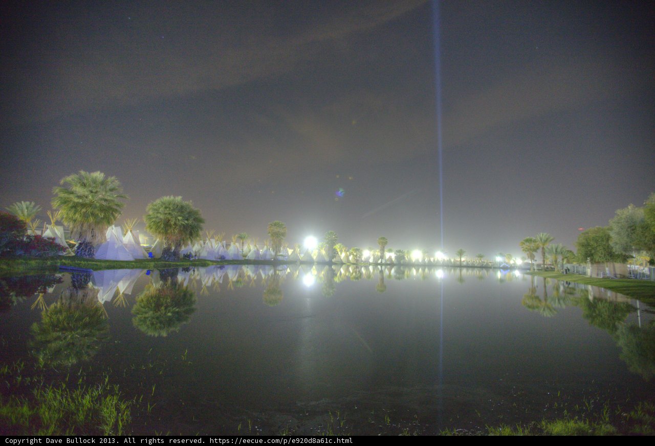 Palm Trees and Moonlight on a Serene Lake
