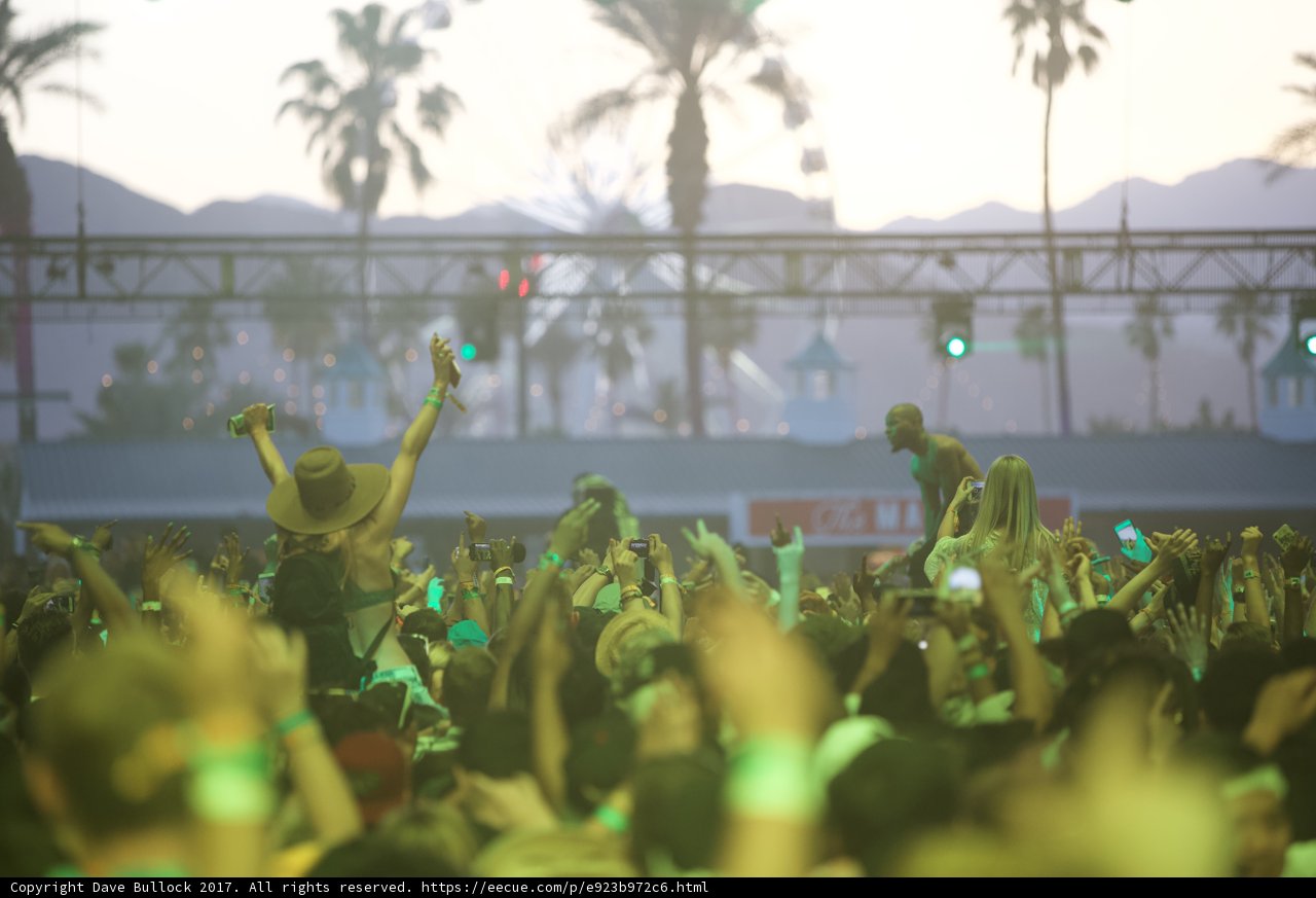 Palm Trees and Throngs of Fans