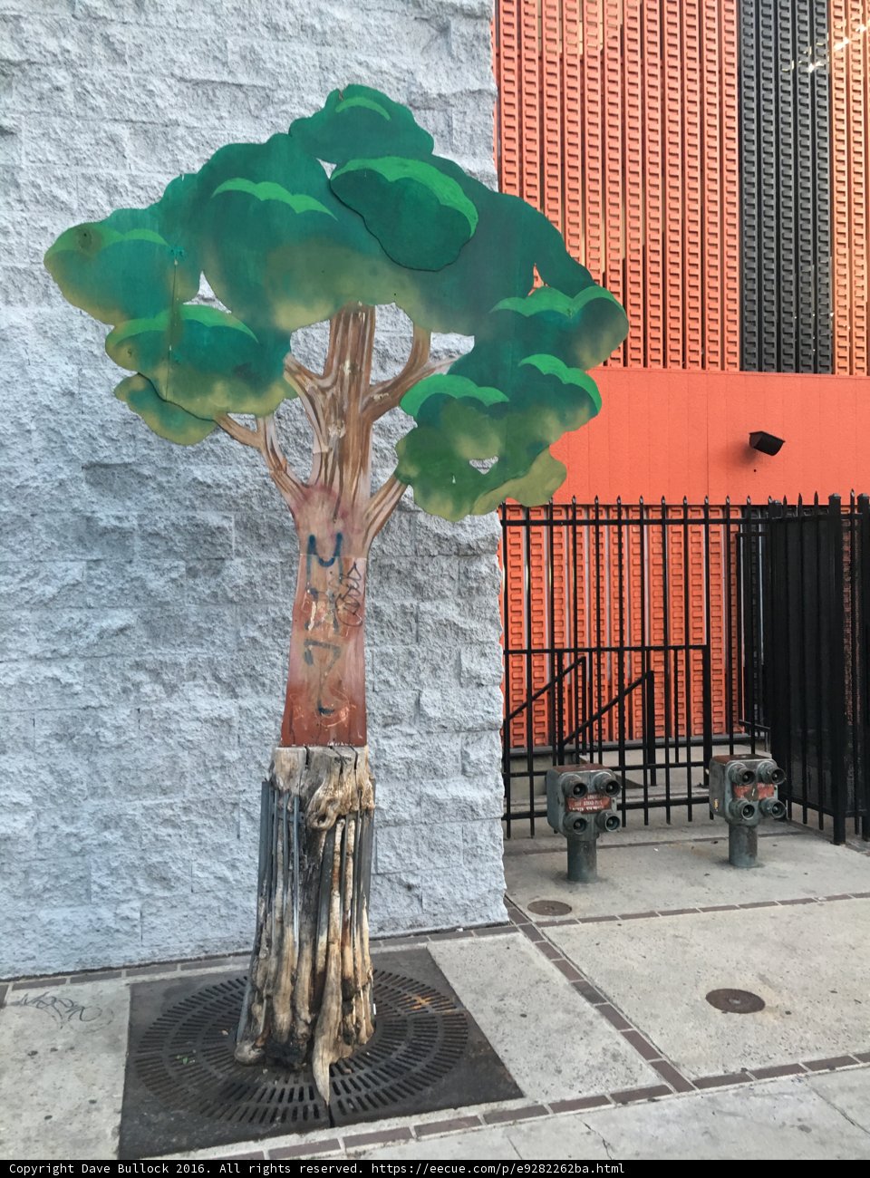 The Tree with a Face