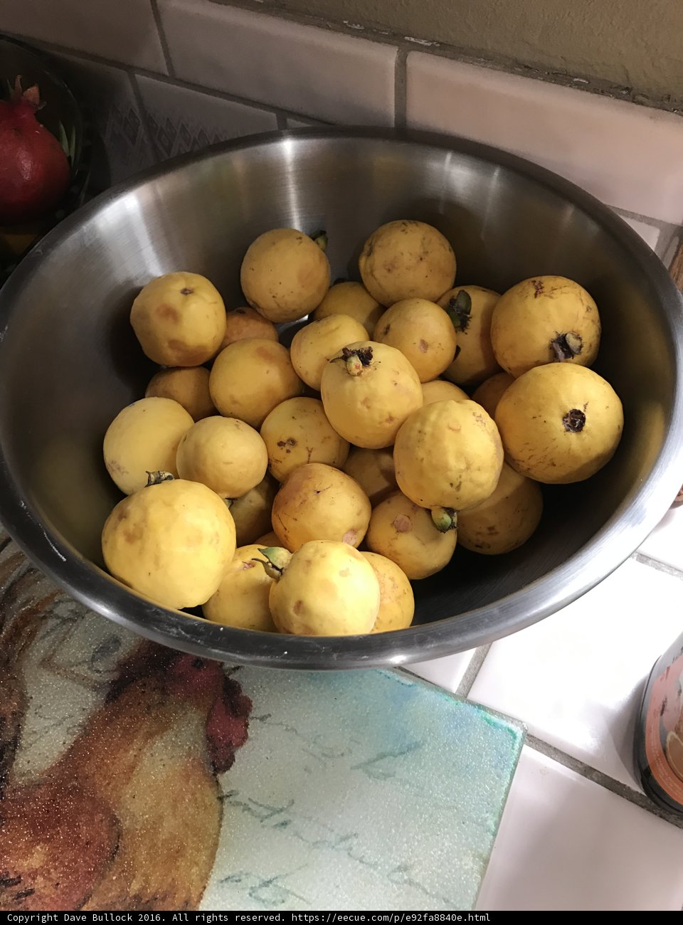 Bright and Citrusy
