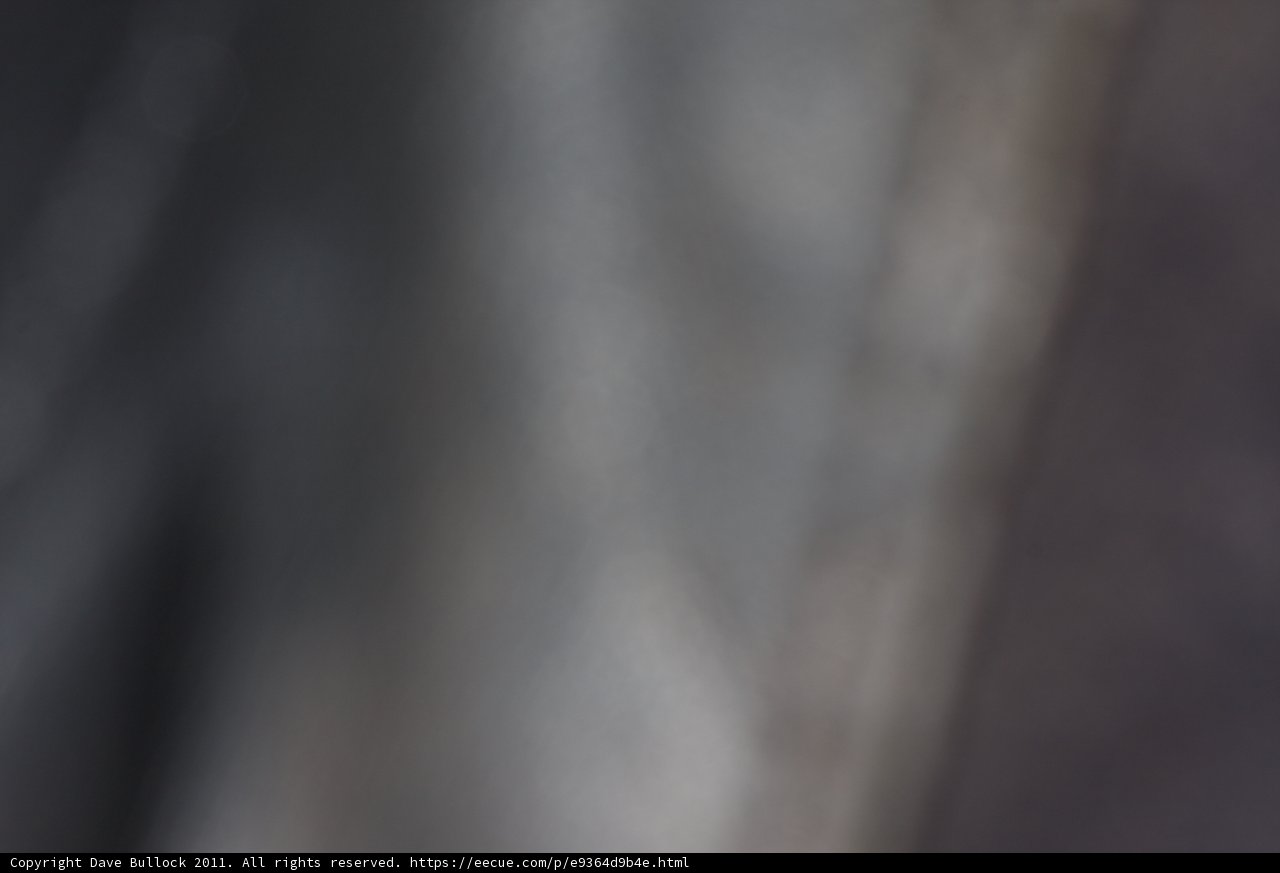 Close-Up Portrait Against Black Background