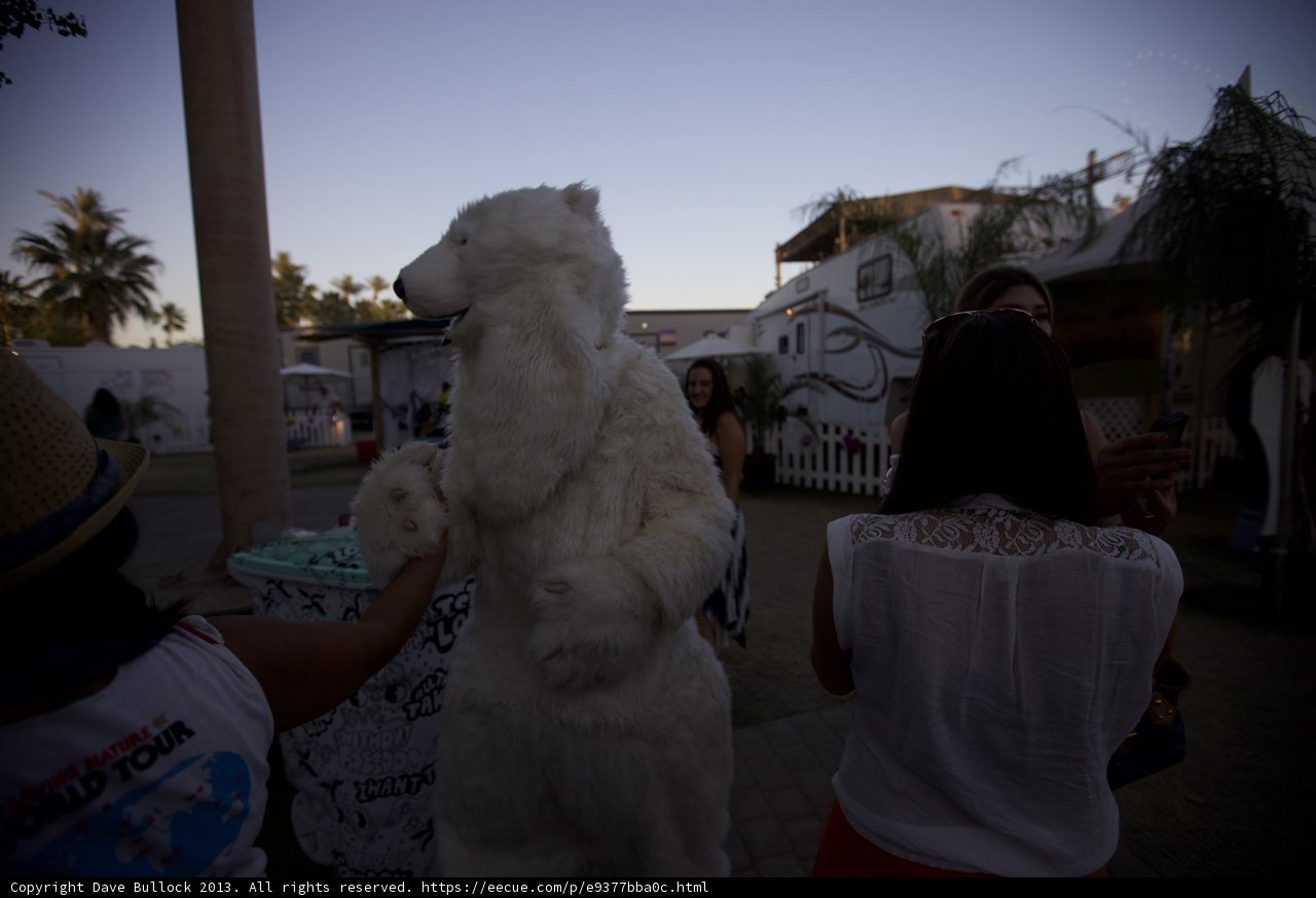 Woman poses with white bear at Coachella