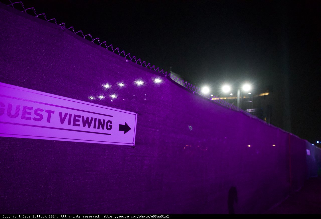 Guided by the Night: Purple Hues and Urban Views