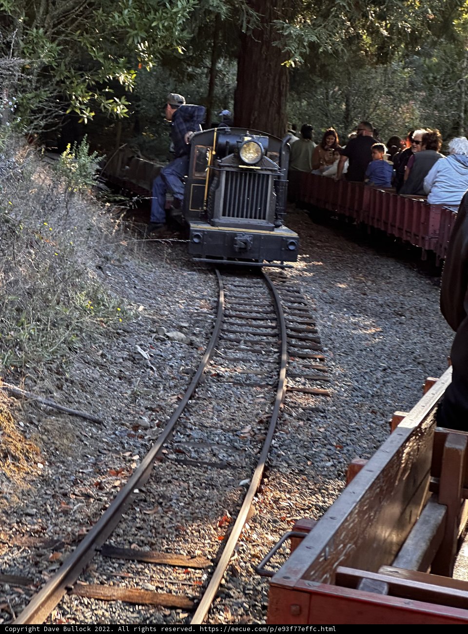 Riding the Rails