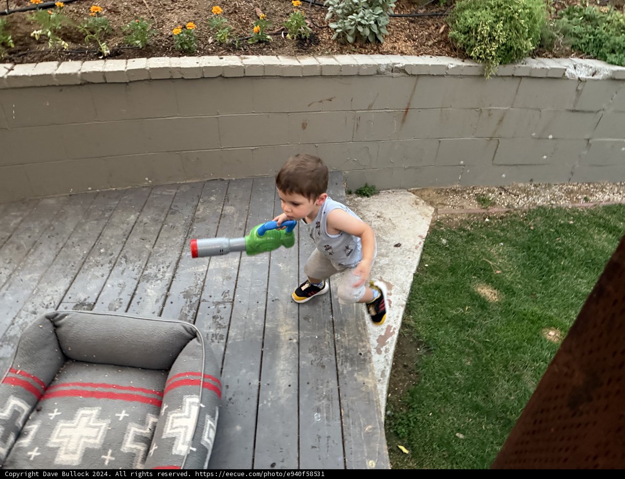 Backyard Adventure