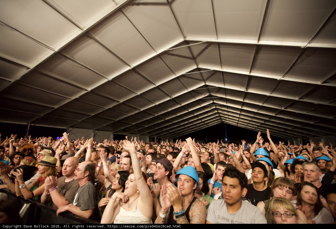 Hands Up in the Crowd