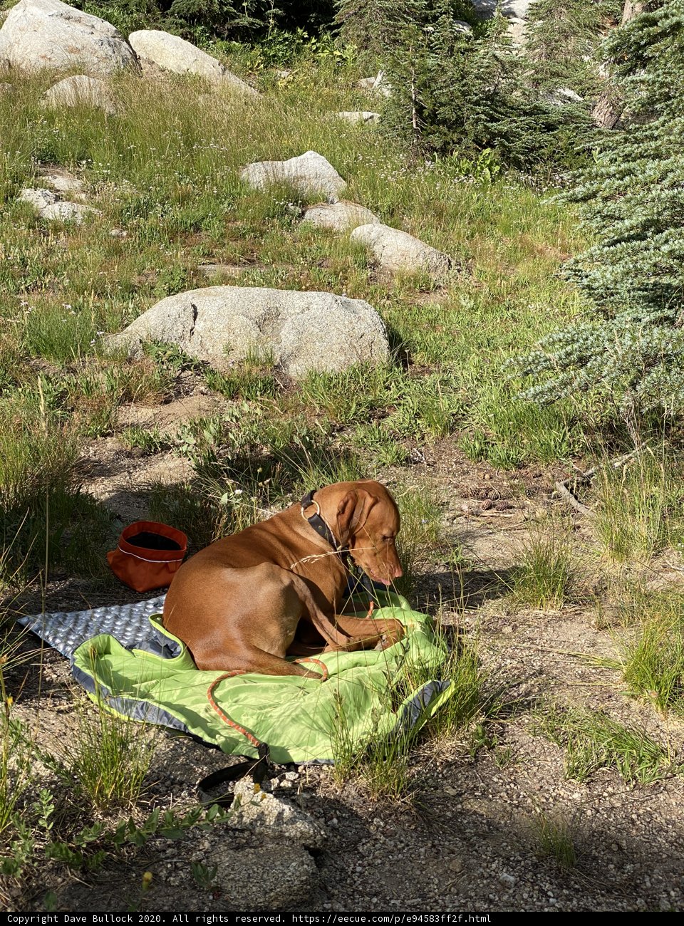 Resting in the Wilderness