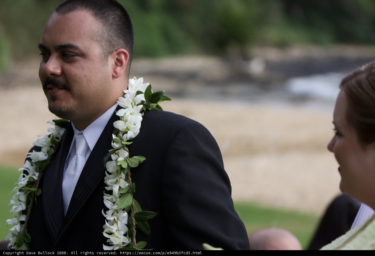 Wedding Day Bliss