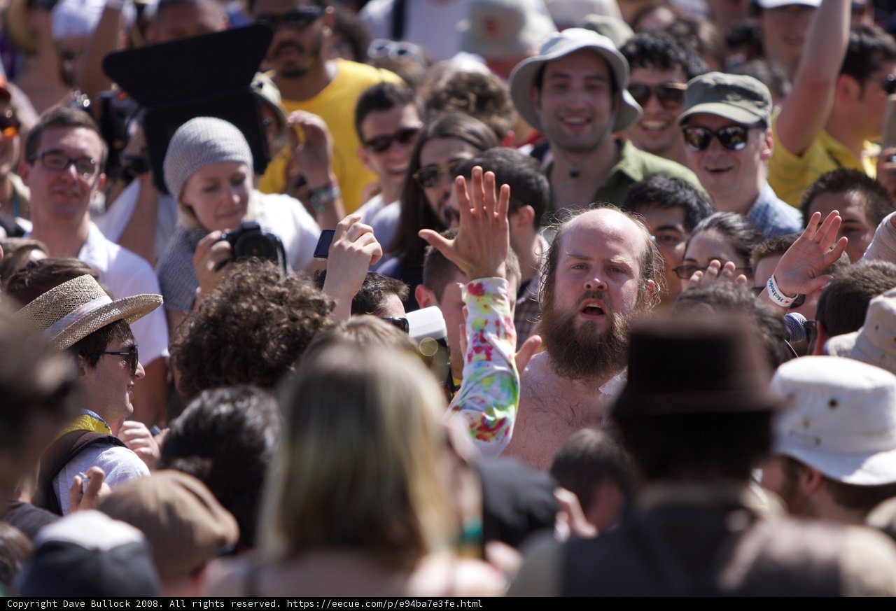 The Bearded Man in the Coachella Crowd